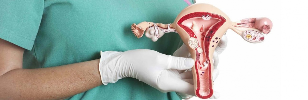 Фото беременной на приеме у гинеколога-мужчины