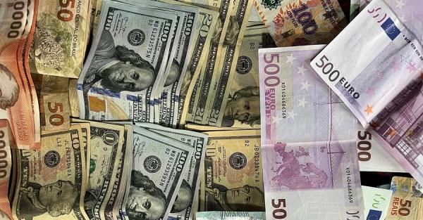 Євро замість долара: навіщо НБУ хоче поміняти основну валюту