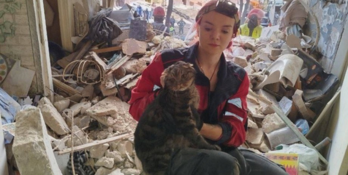 кіт під завалами, порятунок кота, обстріл києва. ракетна атака