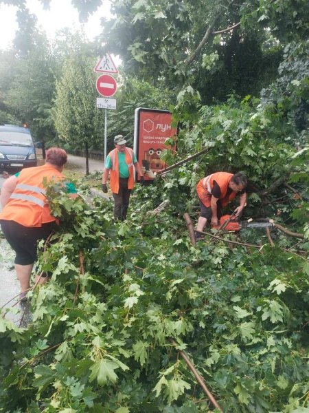 київ негода наслідки 1 негода в києві