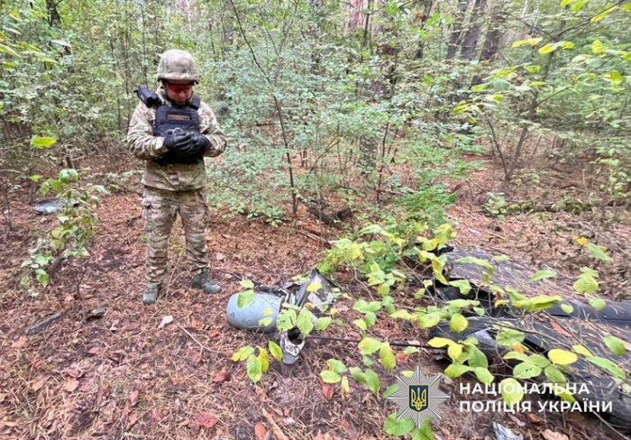 У лісі на лівому березі Києва знайшли уламки Шахеда