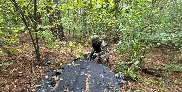 Кияни випадково виявили підбитий Шахед у Дарницькому районі