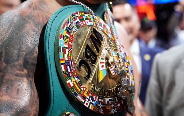WBC розкрив причини присвоєння титульного статусу поєдинку Усик - Верховен