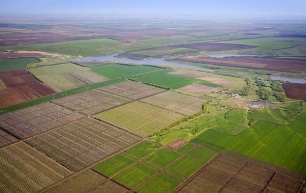 В Україні різко зросли ціни на землю