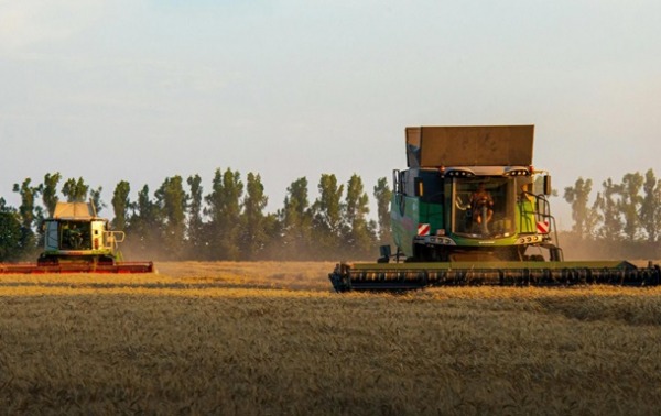 Україна наростила експорт зерна на понад 50%